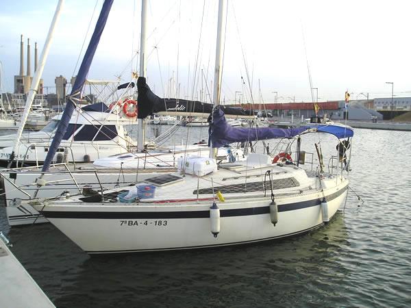 PUMA 29