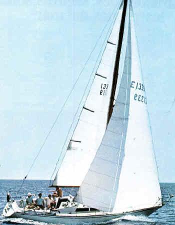 PUMA 34/341