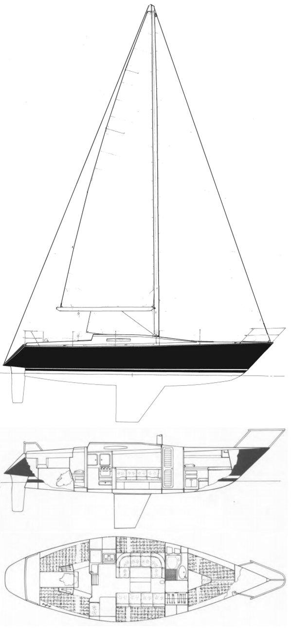 PUPA D36