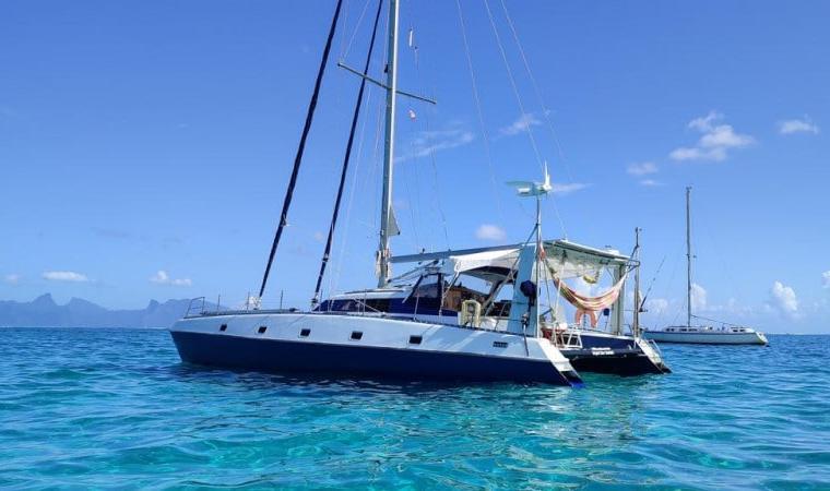 QUASAR 50 (PROUT)
