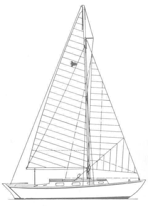 QUEEN BEE 28
