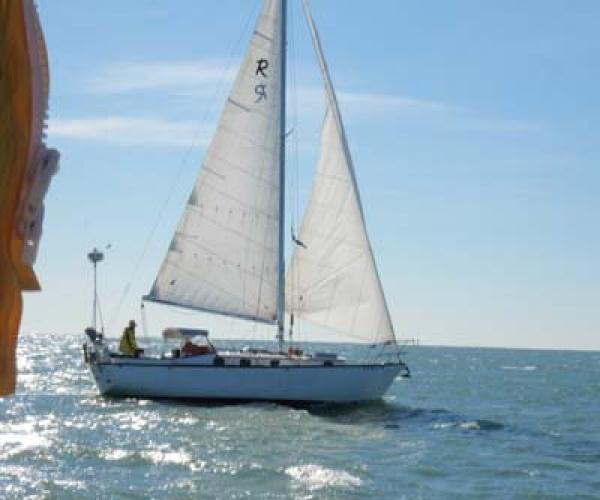 RAFIKI 35