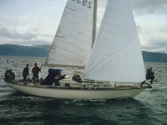 RAIDER 33