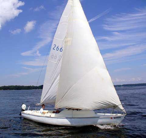 RAINBOW 24