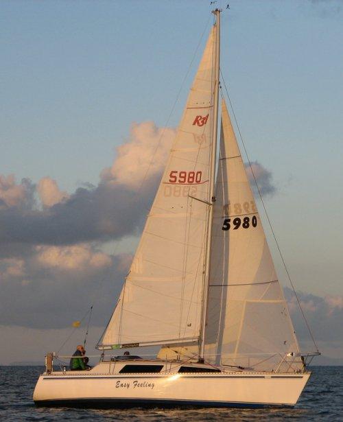 RAVEN 31
