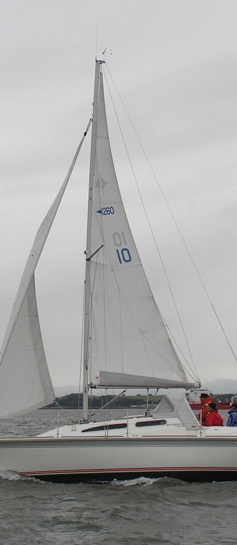 REGATTA 260 (WESTERLY)