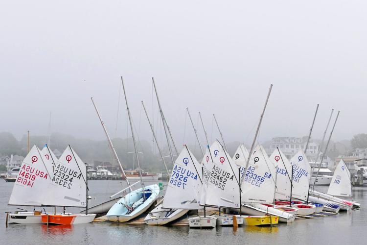 REGATTA 310 (WESTERLY)