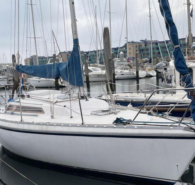 REGATTA 39 MH (JEANNEAU)