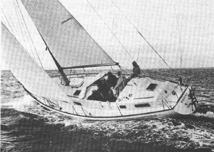 RIVAL 41 CC