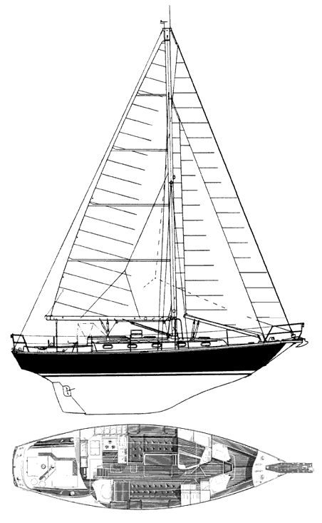 ROBINHOOD 36