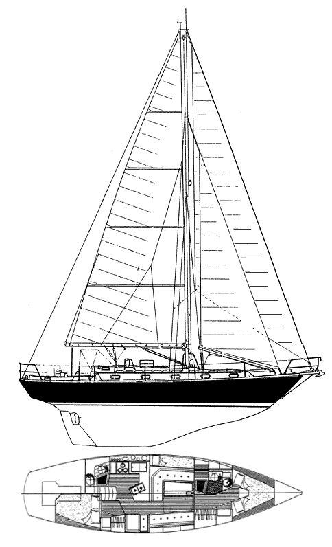 ROBINHOOD 40