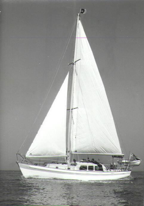 ROSE RAMBLER 35 (LAURENT GILES)