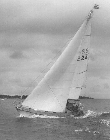 RUSTLER 31