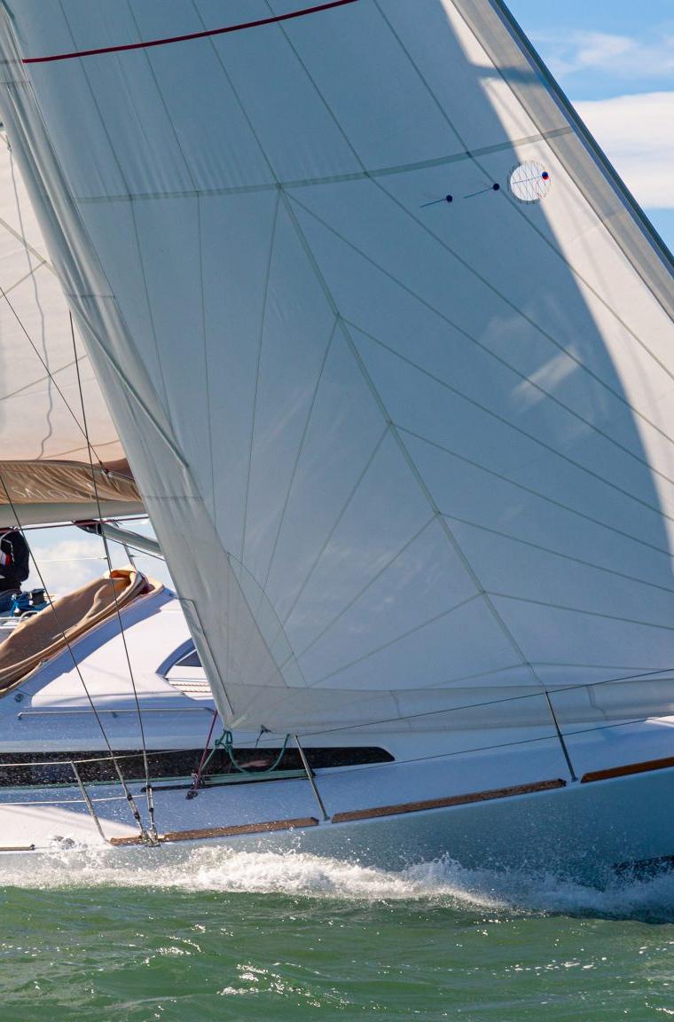 SALONA 46