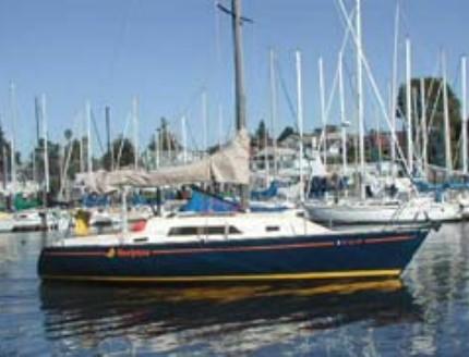 SANTA CRUZ 33