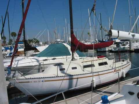 SANTANA 28