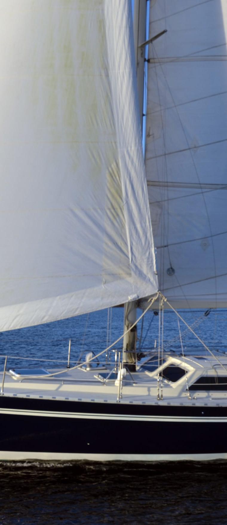 SCEPTRE 41