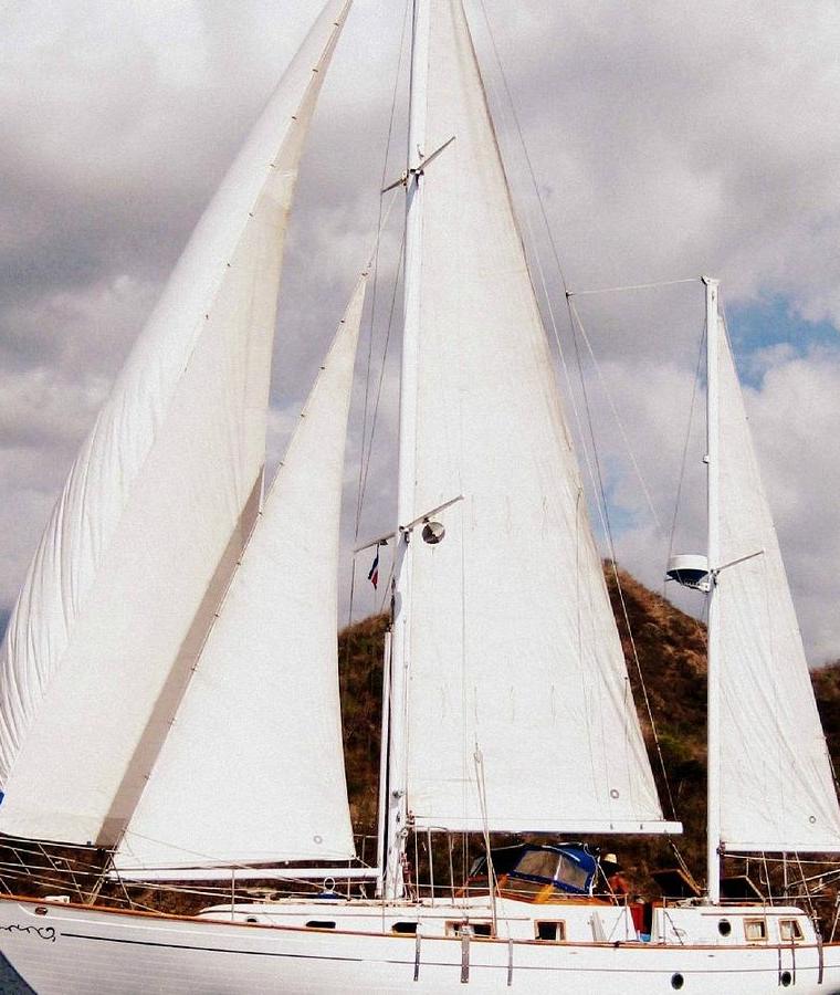 SEA BIRD 37