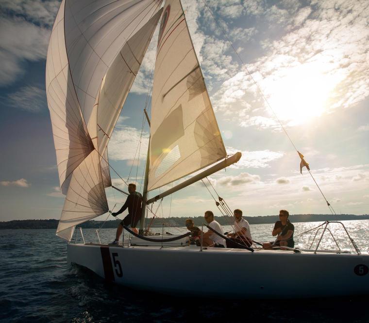 SEA STAR 41