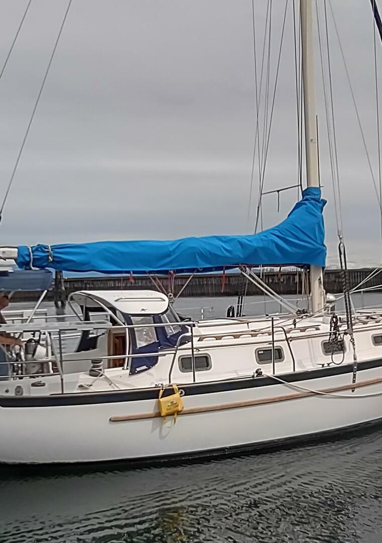 SEA TIGER 34