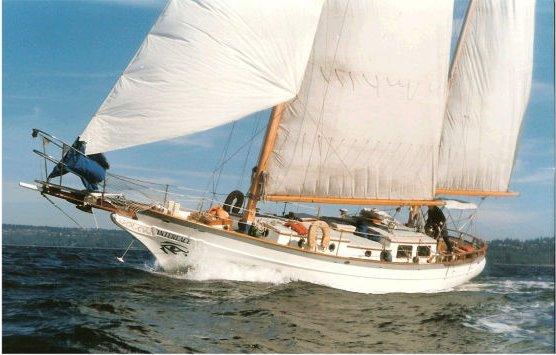SEA WOLF 40