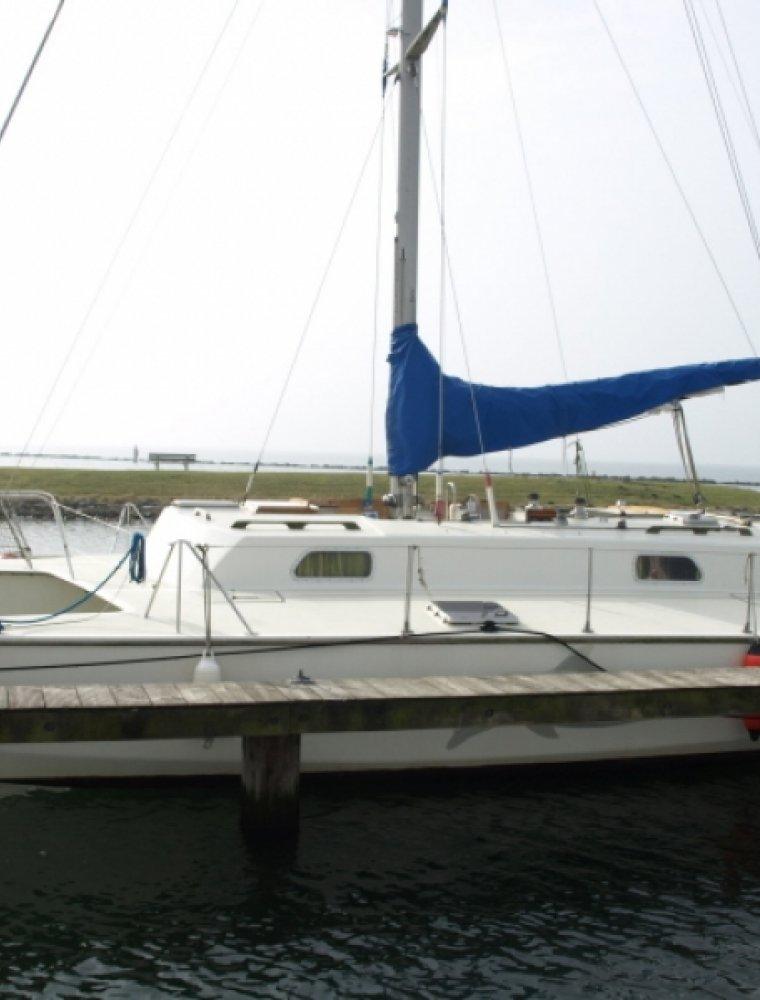 SEARUNNER 34