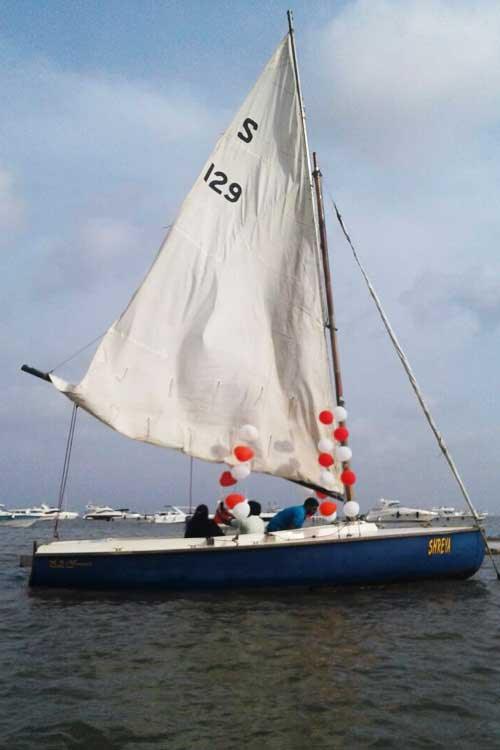 SEAWANHAKA SEA BIRD