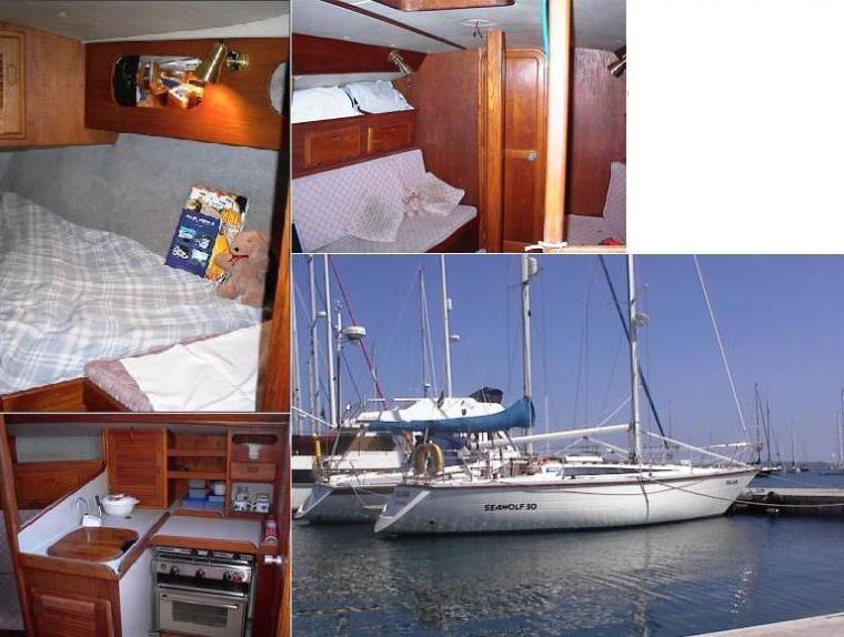 SEAWOLF 30