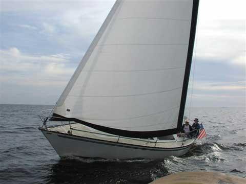 SEIDELMANN 24