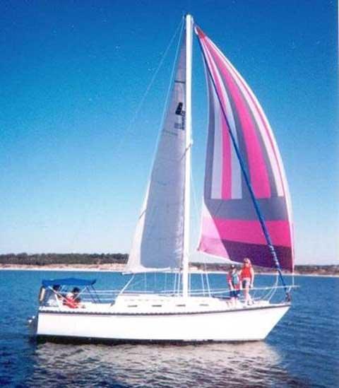 SEIDELMANN 295