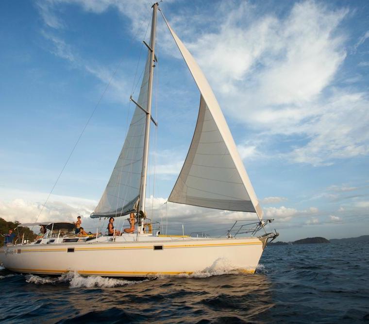 SERENDIPITY 41