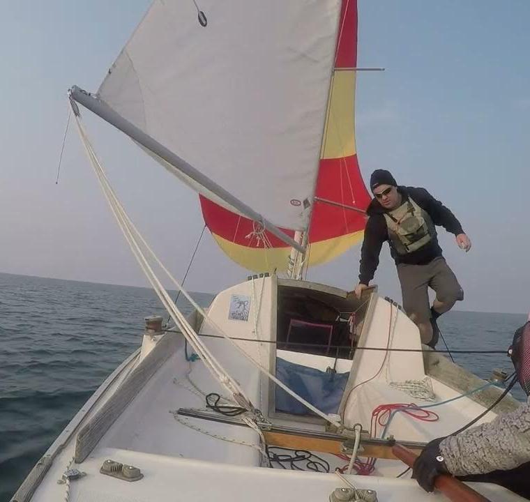 SHARK 24
