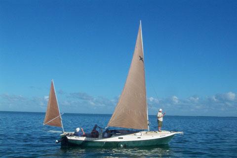 SHEARWATER 28 (EDEY & DUFF)