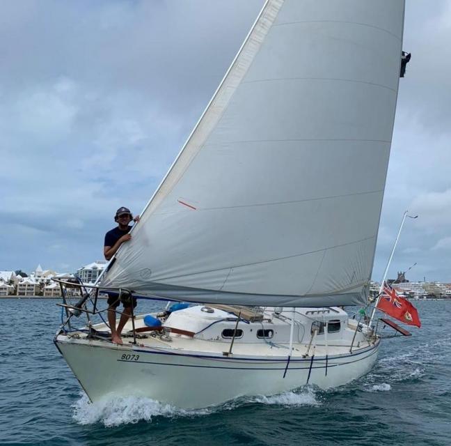 SINGOALLA 34 (ALBIN)