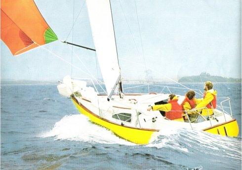 SOLUS 24