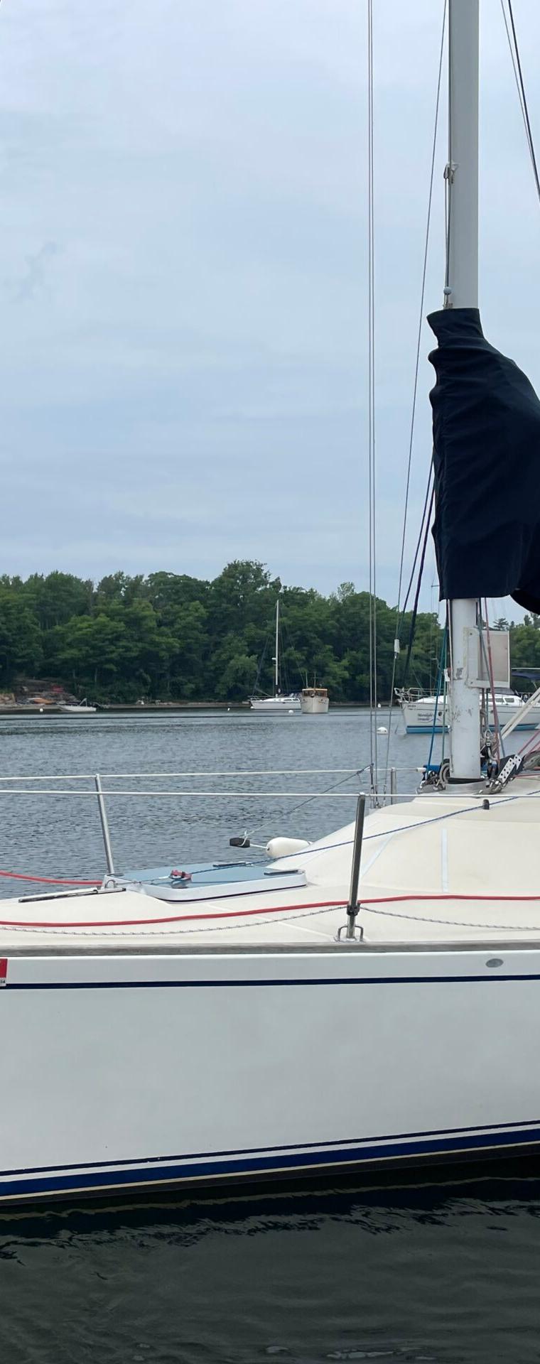 SOVEREL 41