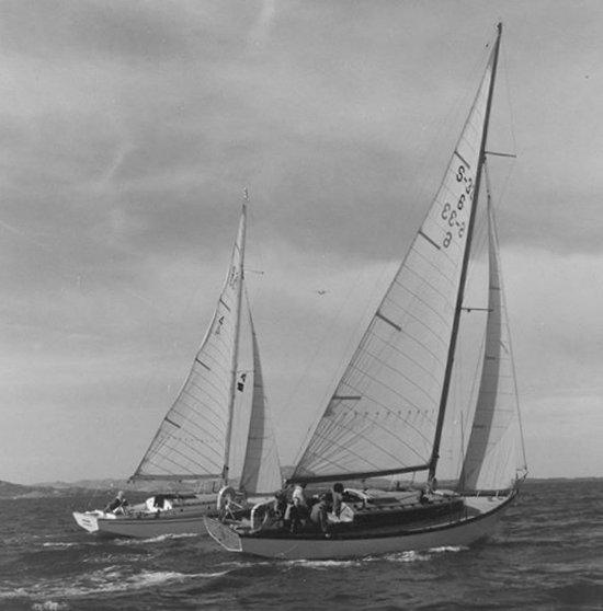 SPAULDING 33