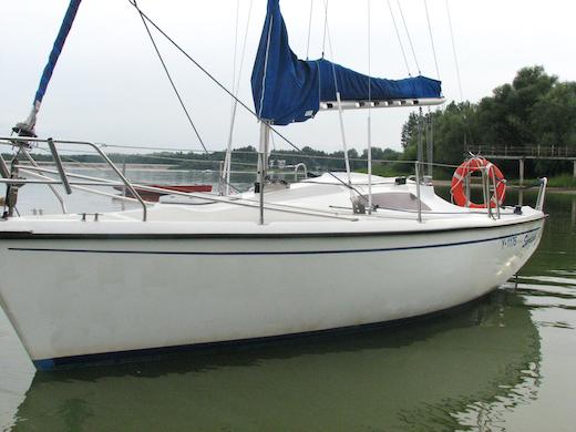 SPORTINA 682