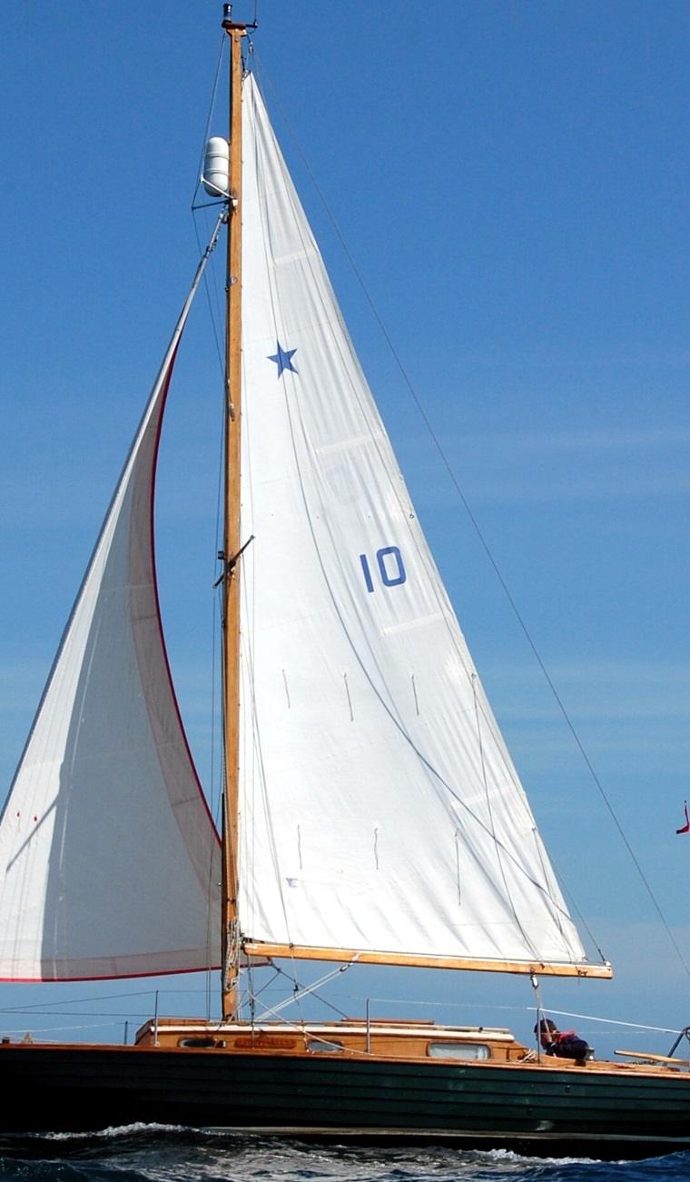STELLA 26