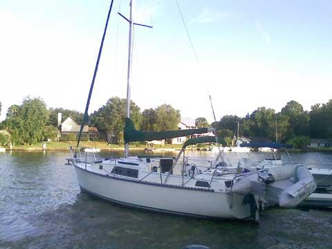 STELLAR 30