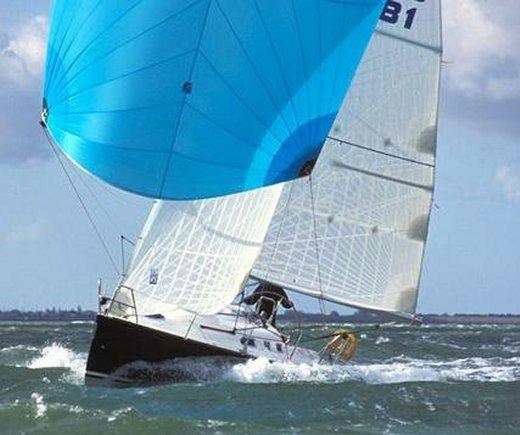 STERN 33