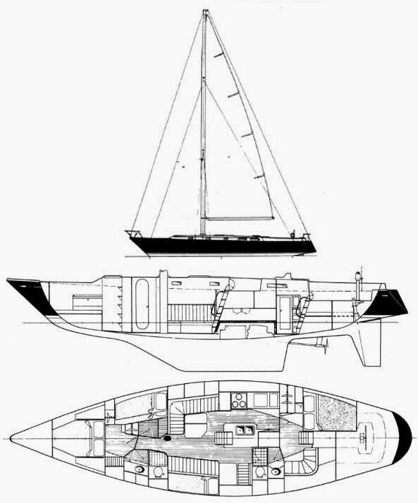 STEVENS 50