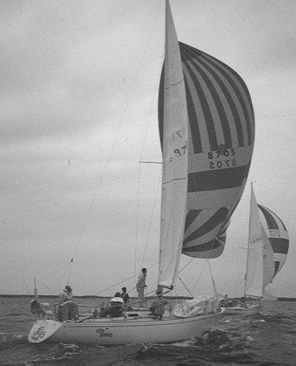 STRATUS 36 (ALBIN)