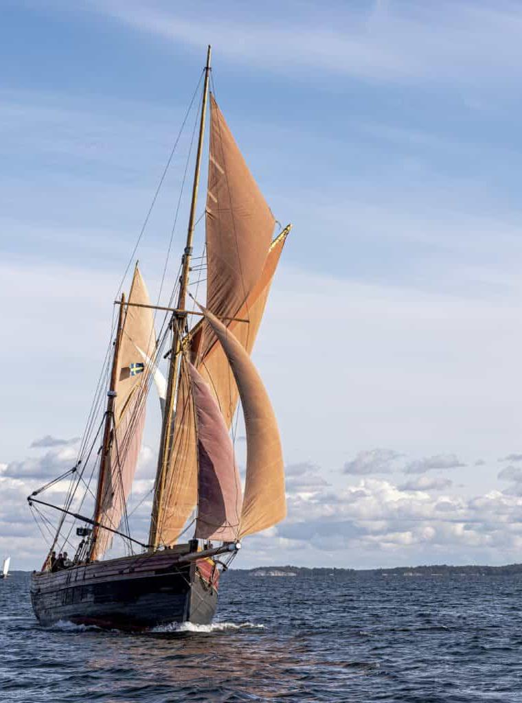 SUNBEAM 23