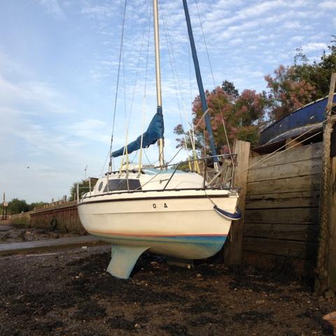 SUNRAY 21