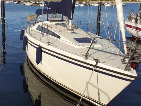 SUNWIND 31