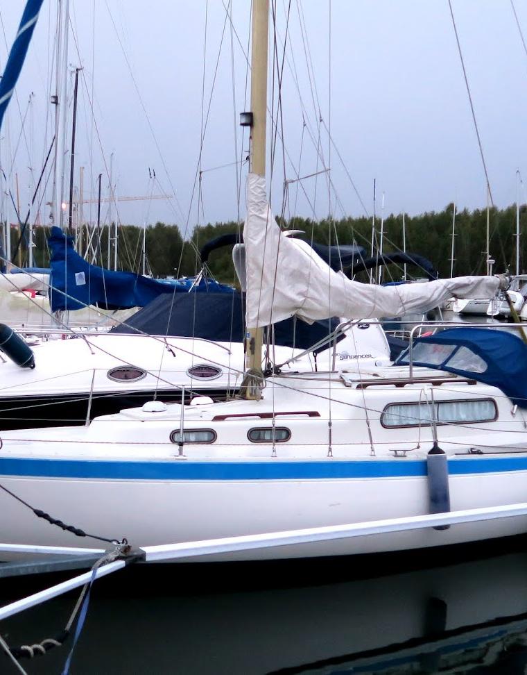 SUNWIND 311