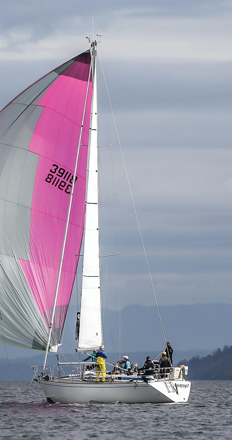 SWAN 391