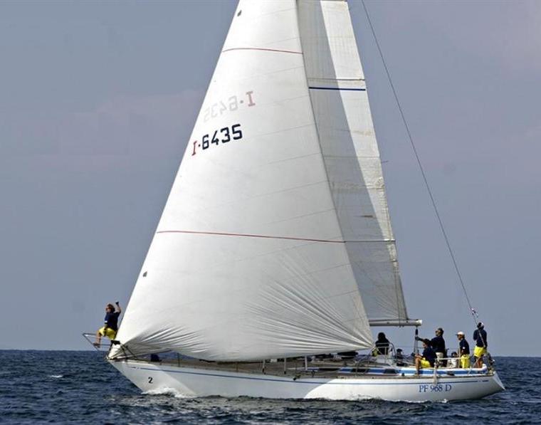 SWAN 41