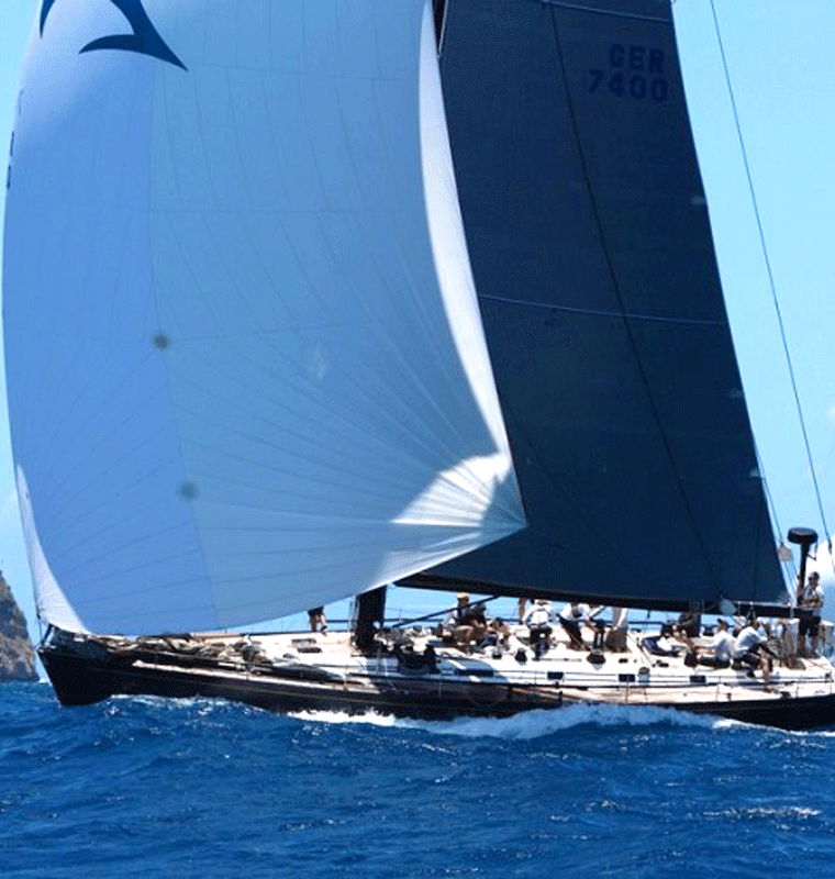 SWAN 56